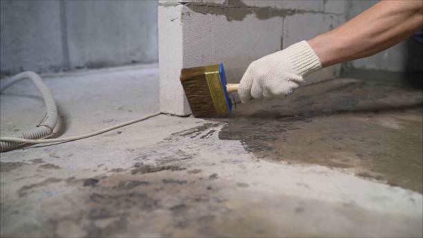 24/7 Emergency Wet Basement Repair experts in Theodore, AL